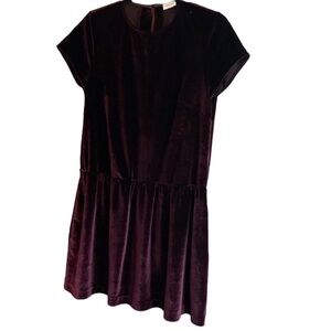 Elorie Burgundy Velvet Lipstick & Feel Drop Waist Dress with Pockets